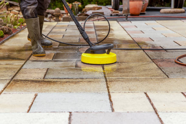 Best Sidewalk and Walkway Cleaning  in Tenino, WA