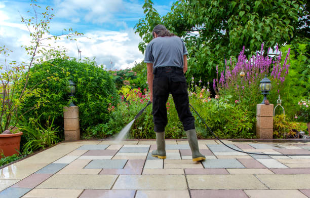 Reliable Tenino, WA Pressure Washing Services Solutions